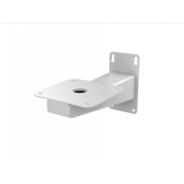 Hikvision DS-1693ZJ-S