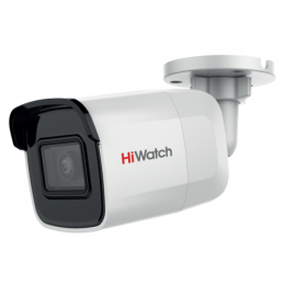 Hiwatch DS-I650M