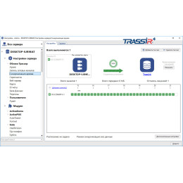 TRASSIR NetSync TRASSIR NetSync